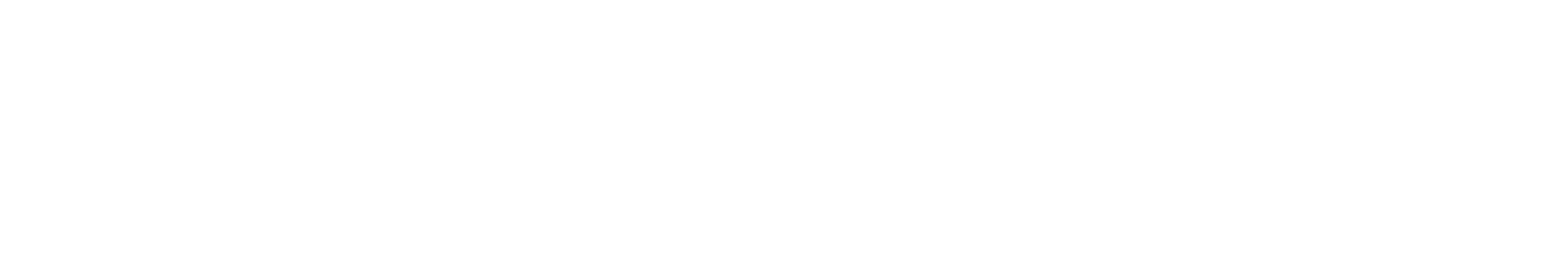 성진종합상사 하단 로고